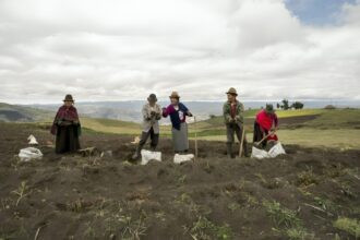 CAF otorga $250 millones para modernizar el agro ecuatoriano