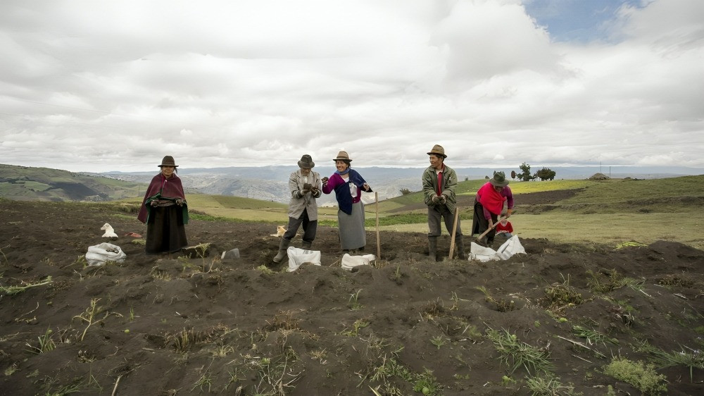 CAF otorga $250 millones para modernizar el agro ecuatoriano