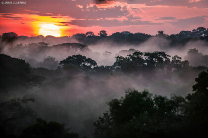 Mapa de conectividad ecológica en la Amazonía con zonas protegidas y áreas intervenidas
