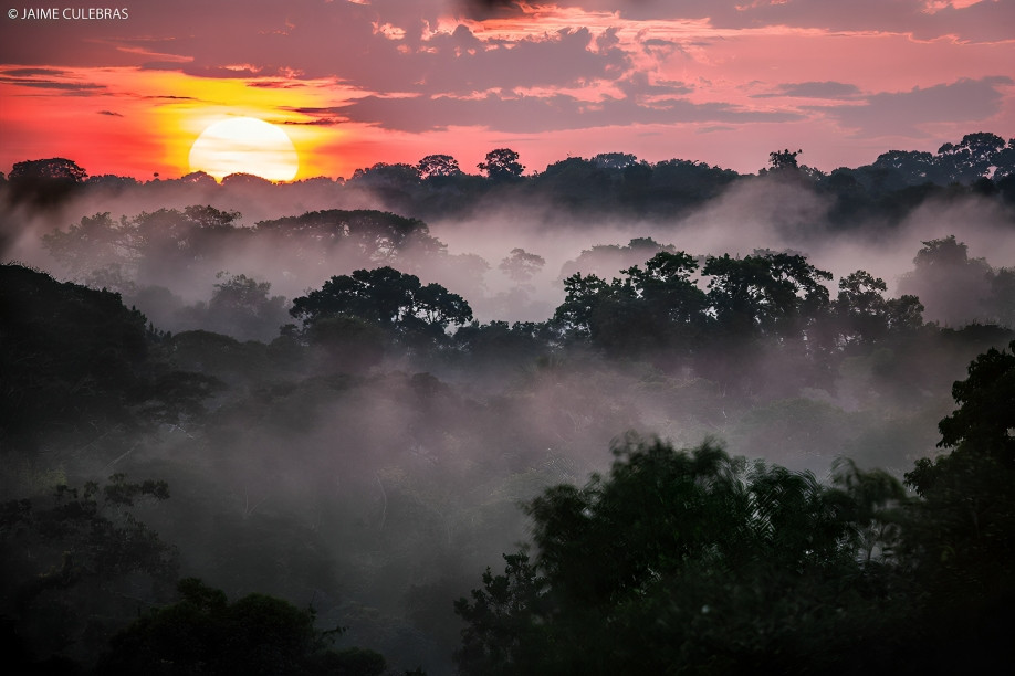 Mapa de conectividad ecológica en la Amazonía con zonas protegidas y áreas intervenidas