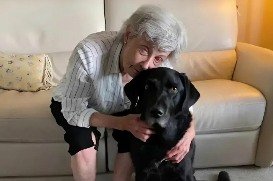 Gail Lane recuperación visual