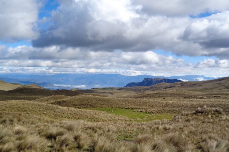 La legisladora cuencana se retiró sin responder preguntas sobre la licencia ambiental otorgada a la empresa canadiense DPM.