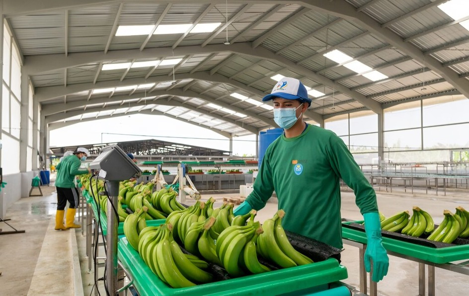 crecimiento económico de Ecuador en 2025