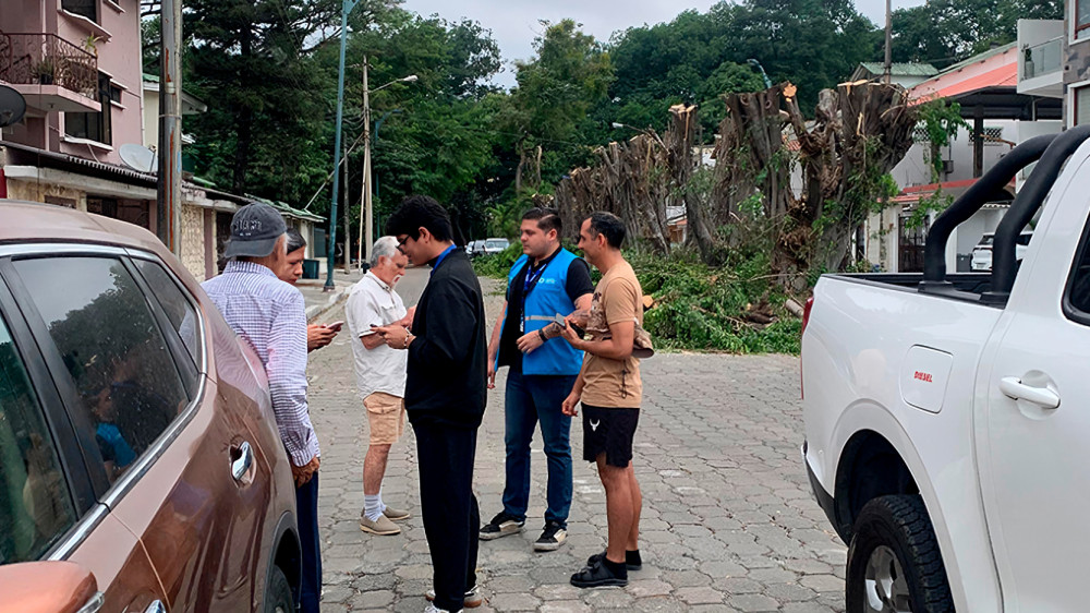 Funcionarios municipales inspeccionan árboles podados ilegalmente en ciudadela Las Garzas, Guayaquil, destrucción de árboles