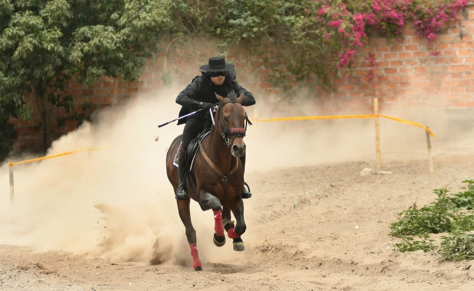postergación de la Cacería del Zorro en Ibarra
