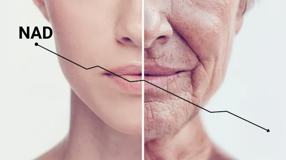 beneficios del NAD+ para la salud celular