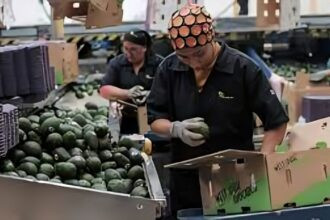 Arancel del 15% a productos ecuatorianos