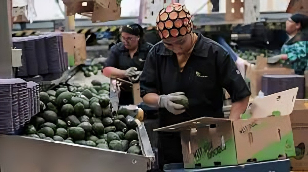 Arancel del 15% a productos ecuatorianos
