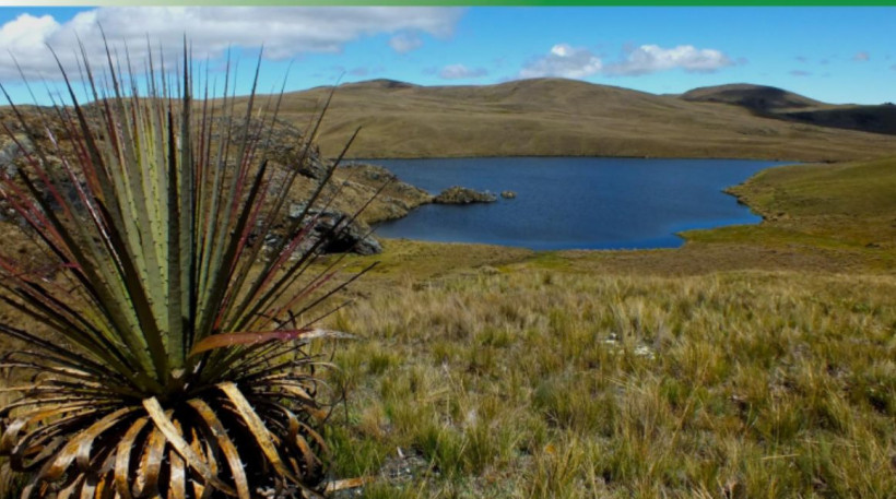 proyecto minero Loma Larga