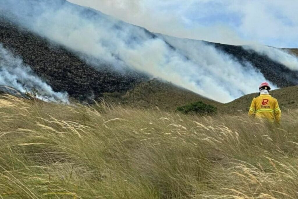 Incendios forestales