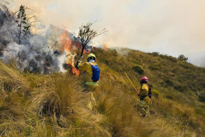 Incendios forestales