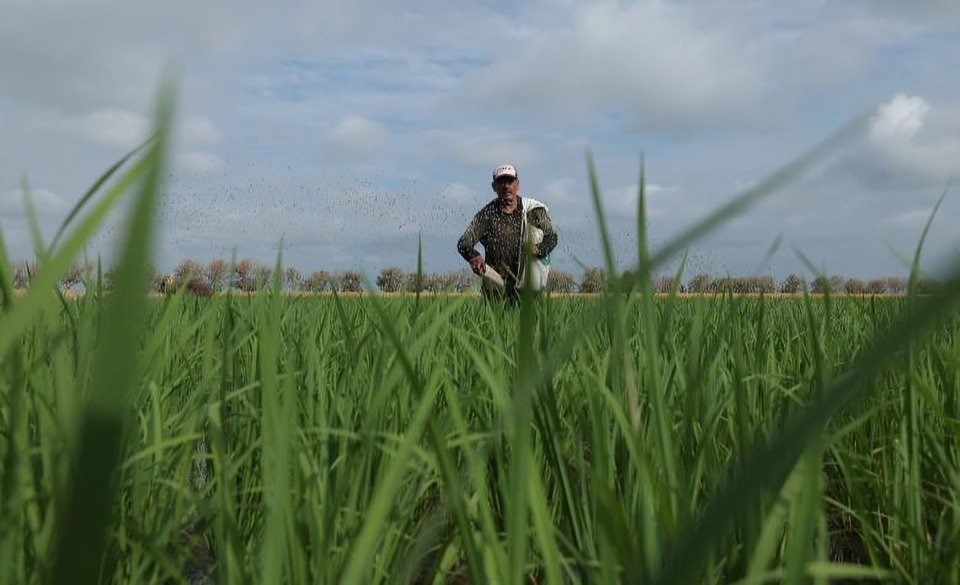 Agro exige focalizar compensaciones y un pago justo