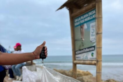 Conciencia y acción ambiental