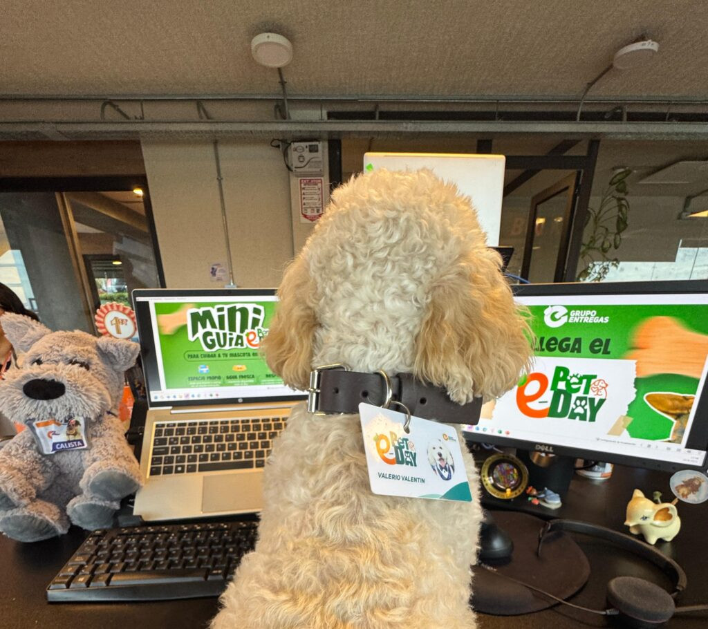 Texto Alt (imagen destacada):
Colaboradores de Grupo Entregas celebran el e-Pet Day junto a sus mascotas