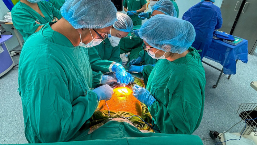 Seguros de salud