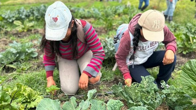 Producción Agroecológica