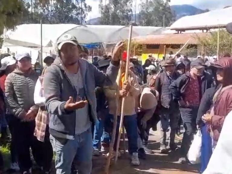 florícola en Cayambe