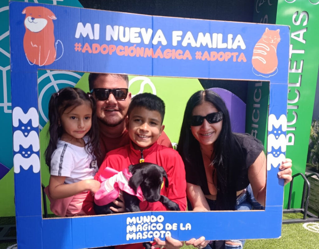 Mundo Mágico de la Mascota