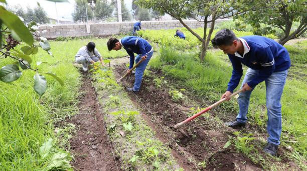 Producción Agroecológica