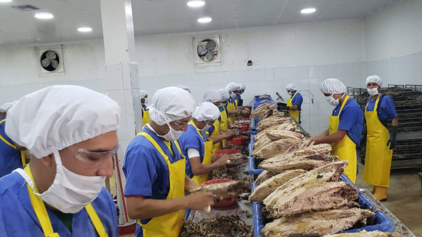 Ecuador concreta su primera exportación masiva de atún a Emiratos Árabes Unidos