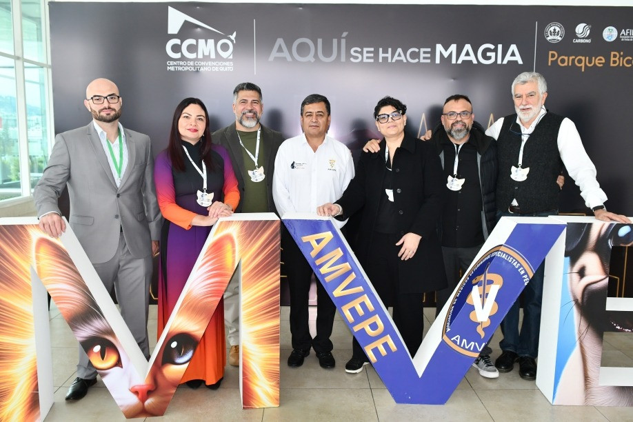 IV Congreso Oficial AMVEPE