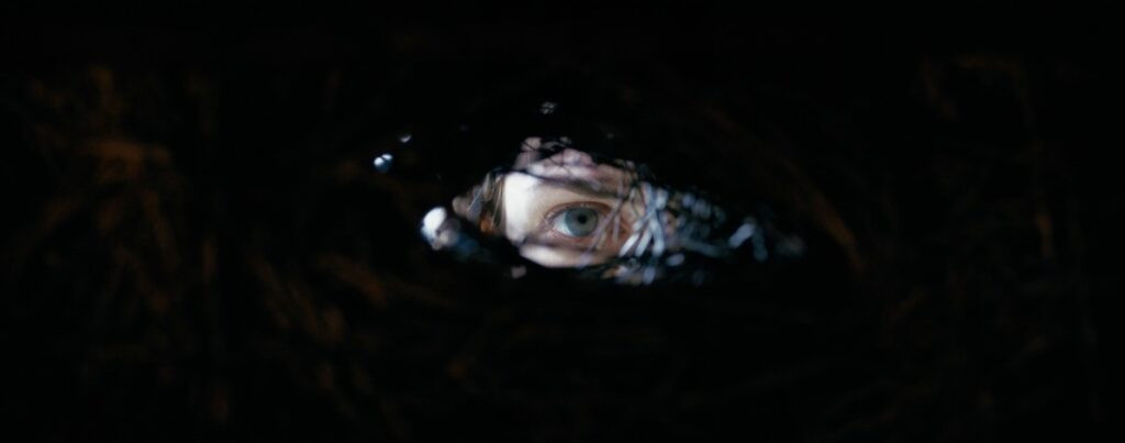 FESTIVAL INTERNACIONAL DE CINE FRIKI