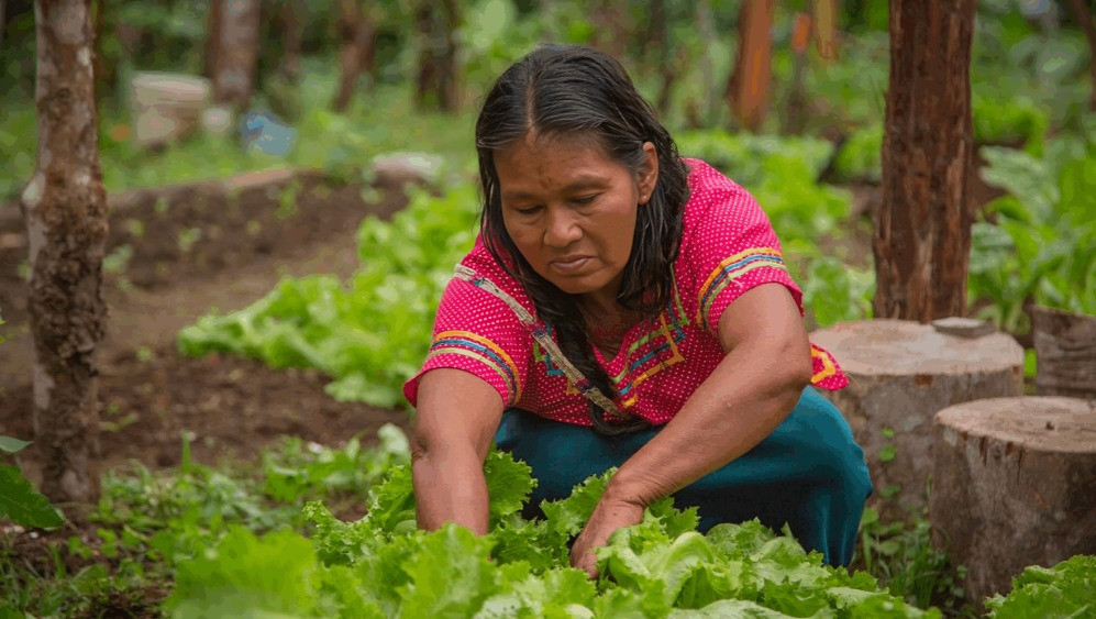 mujeres rurales de Cotacachi