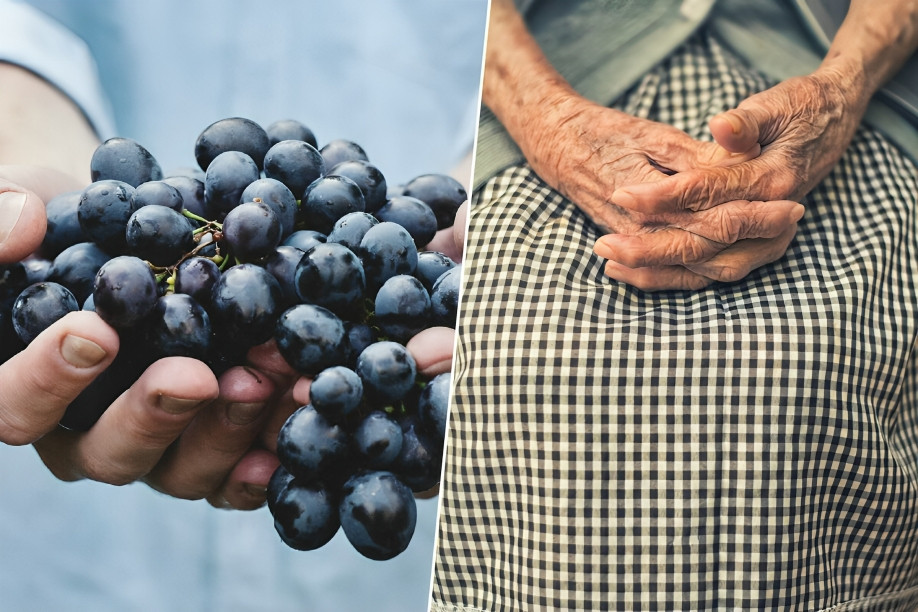 Científicos chinos analizando compuesto de semillas de uva para prolongar la vida hasta 150 años en laboratorio biotecnológico
