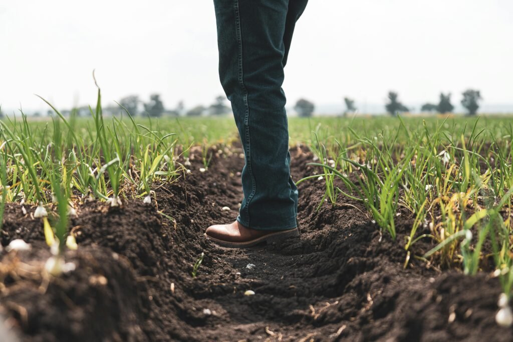 La ciencia que cultiva el futuro impulsada por BASF en el agro ecuatoriano
