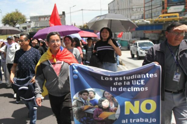 Consulta Popular y Referendo 2025