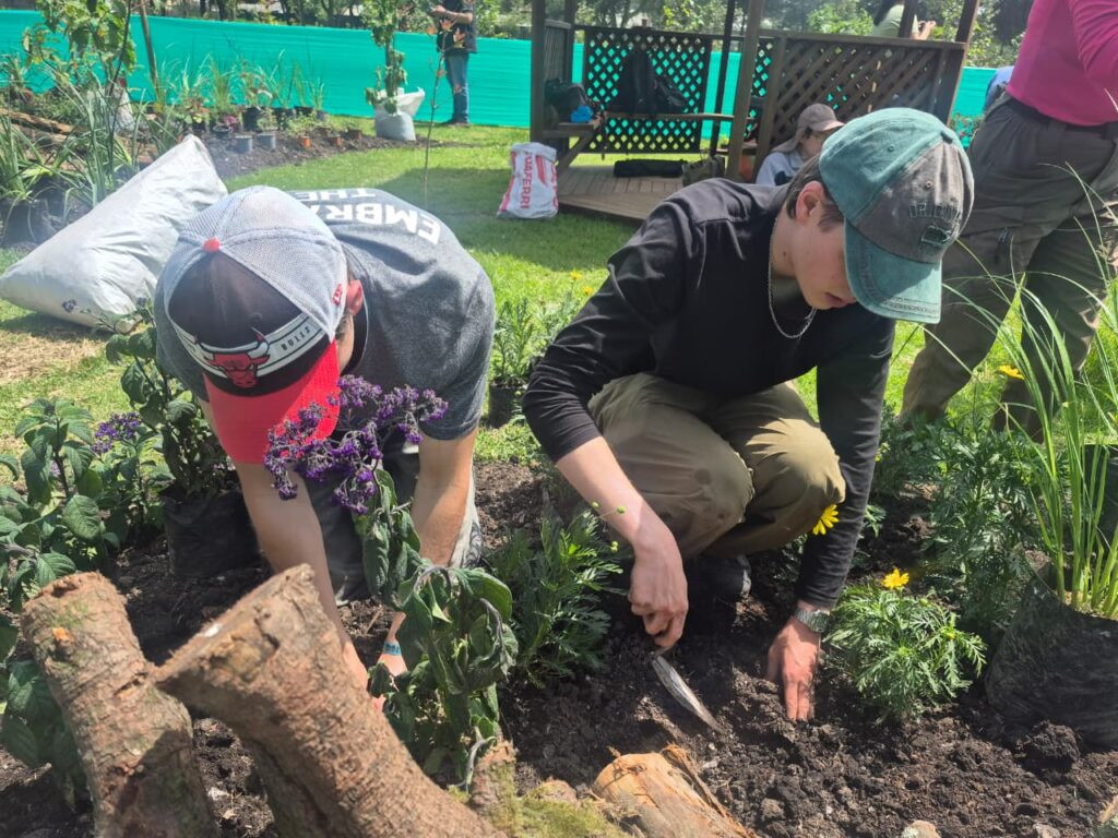 Voluntarios plantan árboles durante la Fiesta de la Siembra en el Parque Bicentenario de Quito.