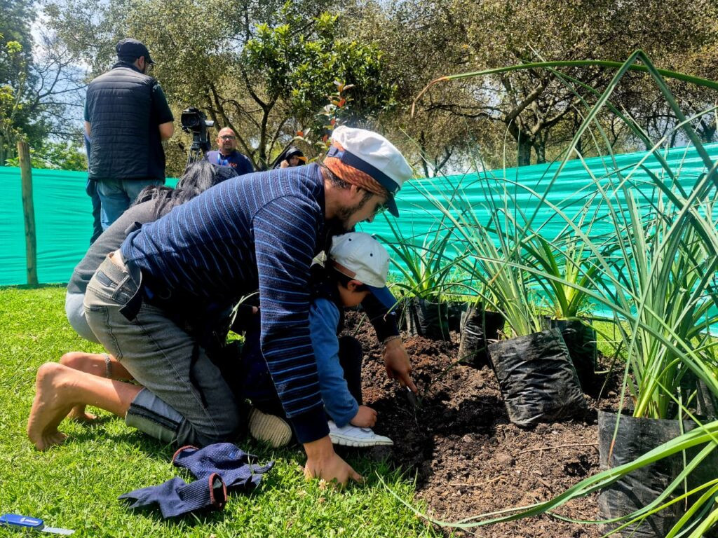 Voluntarios plantan árboles durante la Fiesta de la Siembra en el Parque Bicentenario de Quito.
