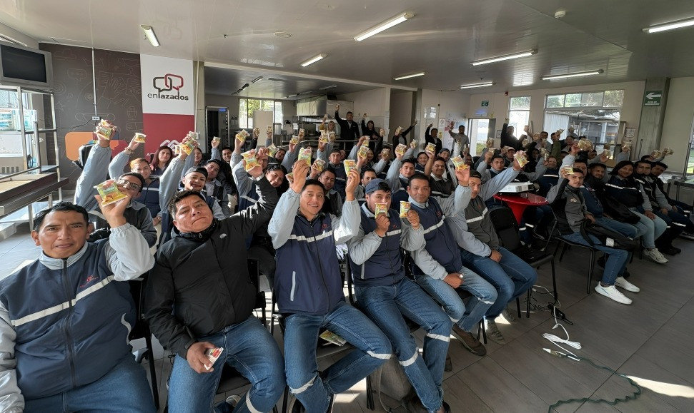 Inacake Volteado de Piña