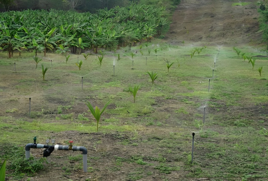 modernización del agro en Ecuador