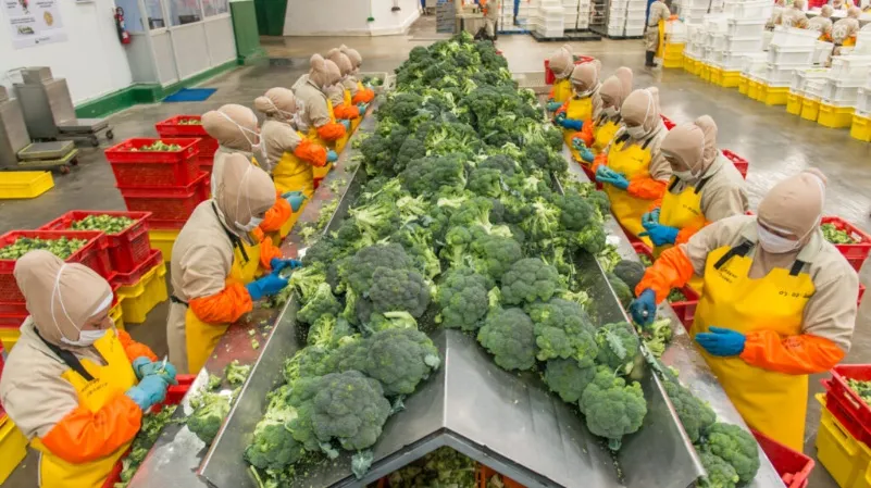 exportaciones en Ecuador