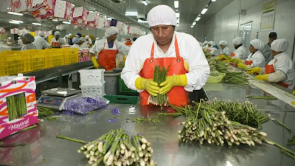 exportaciones en Ecuador