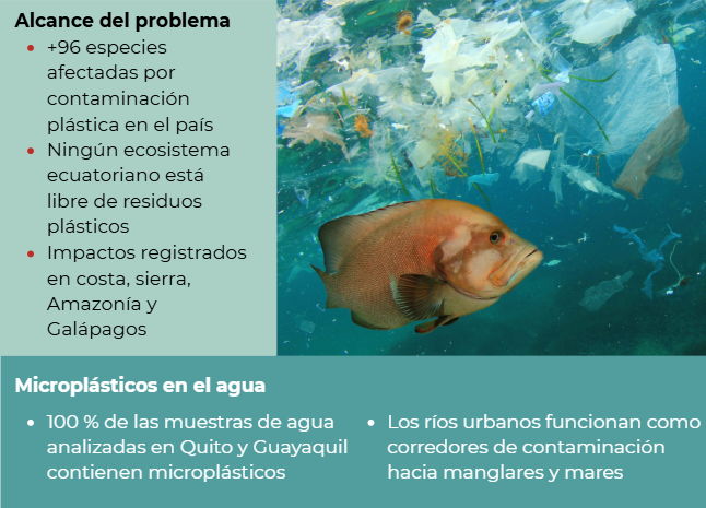 huella invisible del pl&aacute;stico 