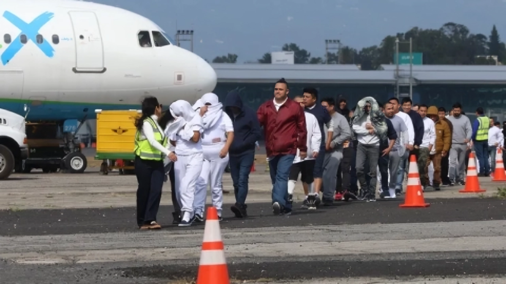 rrestos de inmigrantes por ICE revelan detenciones sin antecedentes criminales