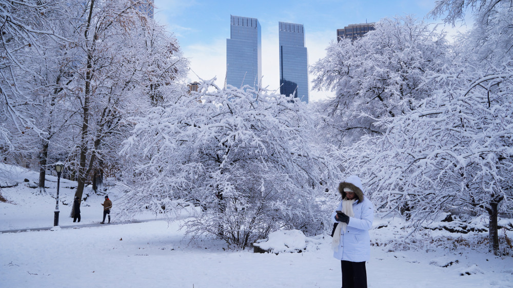 Personas caminando bajo la nieve en Central Park durante tormenta invernal en Nueva York el 14 de diciembre de 2025