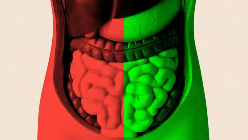 Microbioma intestinal y su relación con la salud intestinal para envejecer mejor