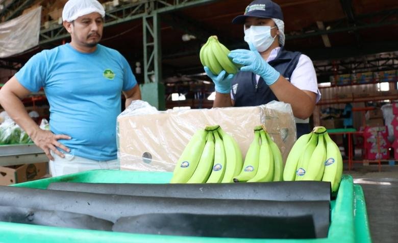 Banco Mundial baja proyección de crecimiento de Ecuador en 2026