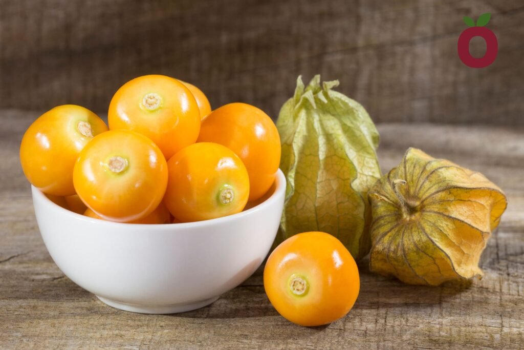 Golden berry o uvilla fresca con cáliz, fruta estudiada por su efecto antiinflamatorio