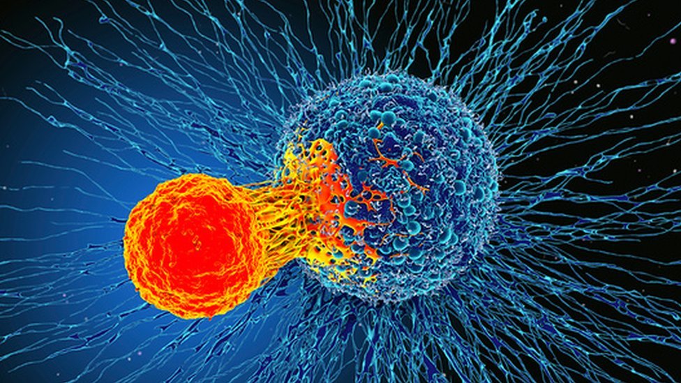 "Imagen de células cancerígenas