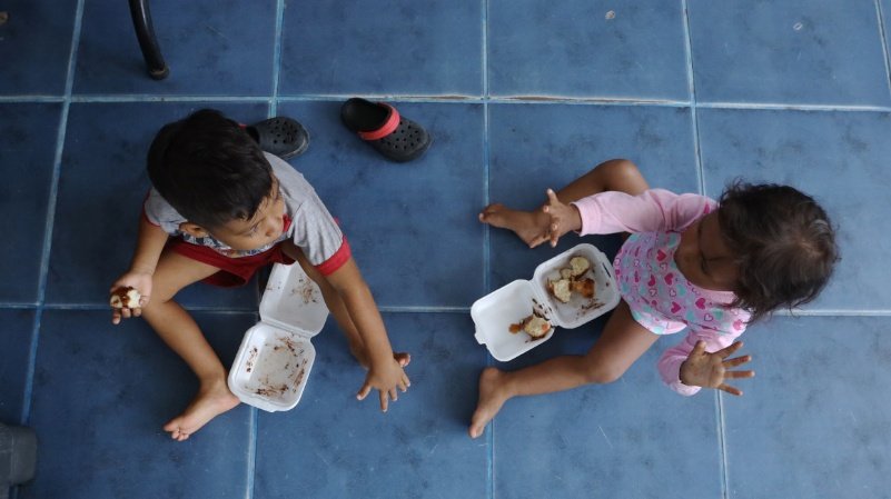 desnutrición crónica infantil 