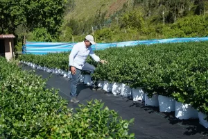 Economía de Riobamba