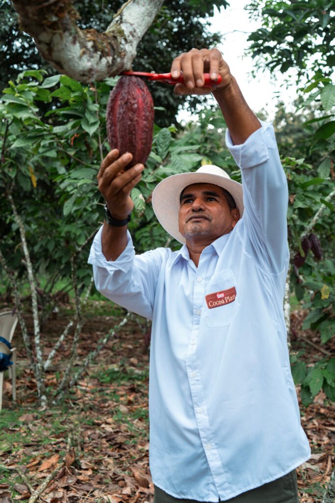 Creación de Valor Compartido, el modelo de negocio de Nestlé Ecuador
