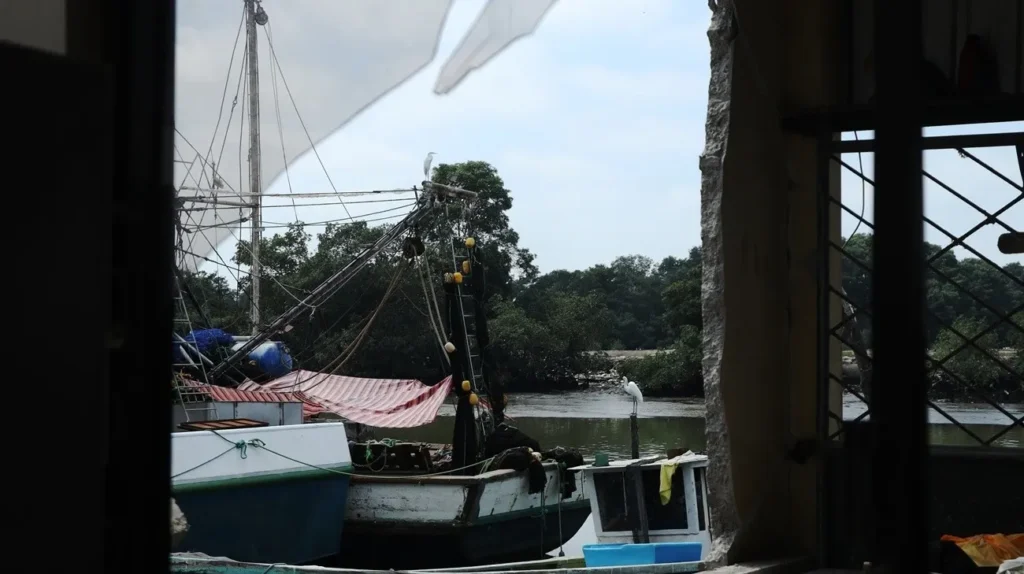 Cadáveres decapitados en Puerto Bolívar hallados por pescadores en el estero Los Cocos, Machala