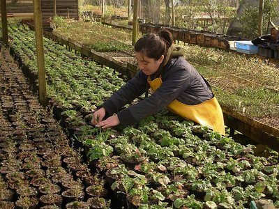 Ranking de Salarios Básicos