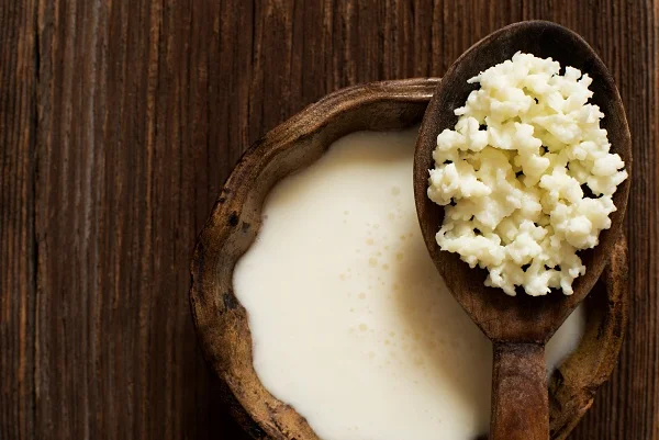 Kéfir probióticos, alimento fermentado para la salud intestinal.