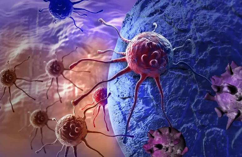 Investigadores analizan la autodestrucción de células cancerosas mediante la inhibición de la proteína FSP1.